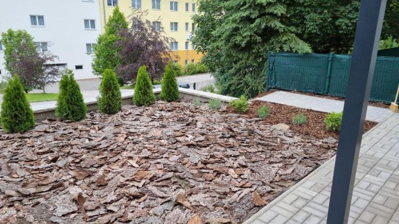 Novy Apartman V Arealu Wellness Hotelu Frymburk Exterior foto